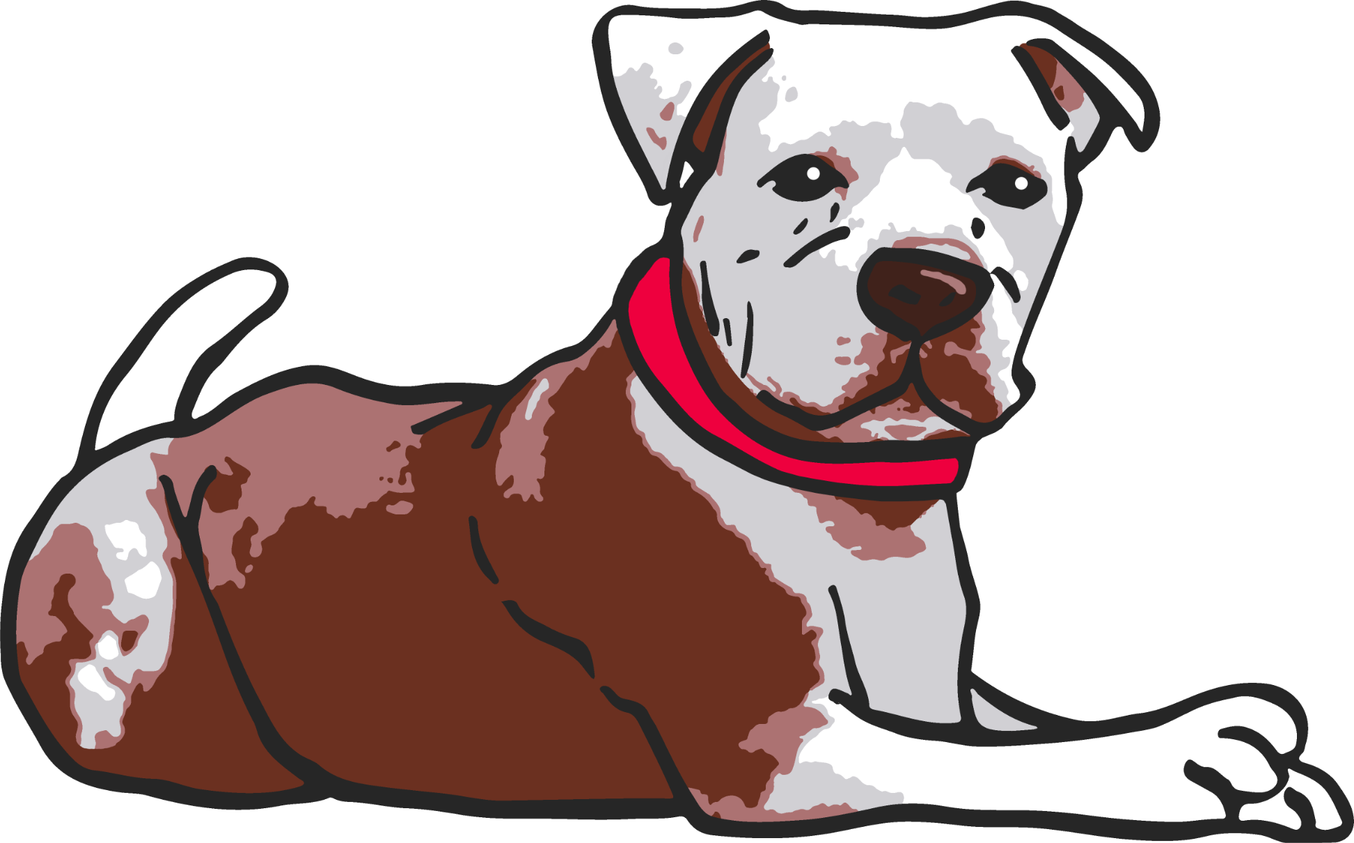 Lustiges Pitbull-Rudel. Porträt eines lächelnden Hundes American  Staffordshire Terrier. Amerikanischer Pitbull-Terrier-Hund-Aufkleber für  einen
